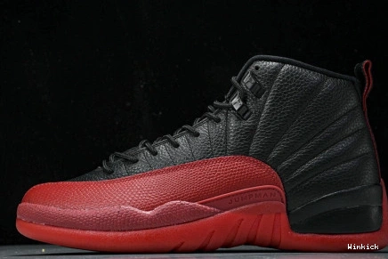 AIR 12 CT8013-002 (2025) Flu JORDAN Game 1017